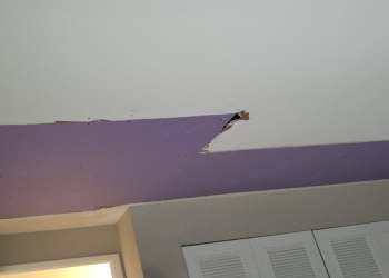Our Work